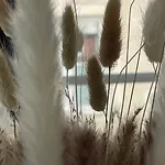 Lägenhet La Duchesse, Cosy A Versailles, A 2 Min Du Chateau *