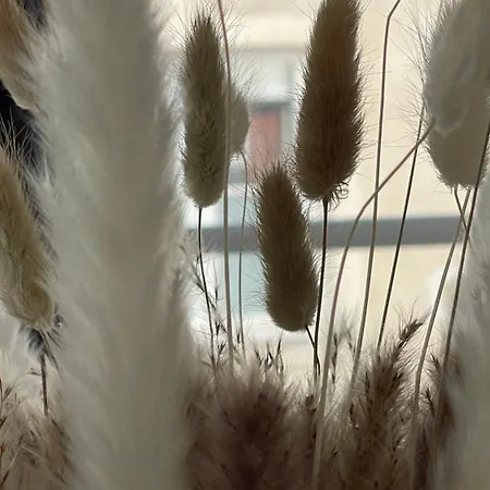 公寓 La Duchesse, Cosy A Versailles, A 2 Min Du Chateau *